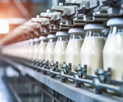 Dairy